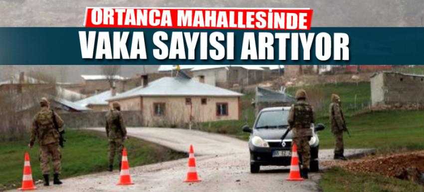 Van'da Vaka Sayısı Yükseliyor...