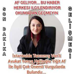 Av. Yonca Halitoğlu Yiğit: Af Teklifi Yorumu...