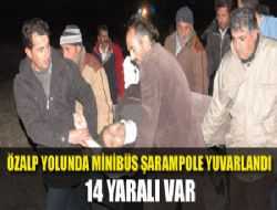 Van'da minibüs şarampole yuvarlandı
